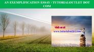 AN EXEMPLIFICATION ESSAY / TUTORIALOUTLET DOT COM