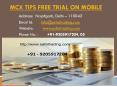 Gold Silver Trading Tips, Commodity Tips Free Trial on Mobile Call @ +91-9205917204 PowerPoint PPT Presentation