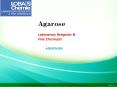 Laboratory Chemicals-Agarose PowerPoint PPT Presentation