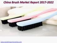 China Brush Market Report 2017-2022