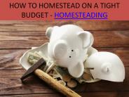 A Homesteaders Holiday Budget!