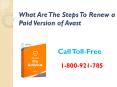 What are the steps to renew a paid version of Avast PowerPoint PPT Presentation