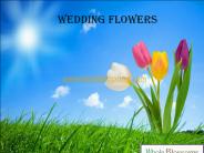 Local  Wholesale Flower - www.wholeblossoms.com