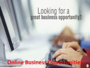 Online Business Opportunities