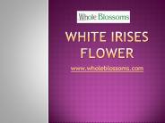White Irises Flower - www.wholeblossoms.com (1)
