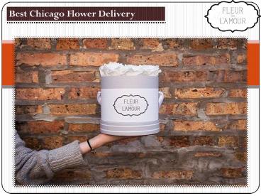 Chicago Flower Delivery (1)