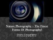 Nature Photography – The Finest Forms Of Photography!