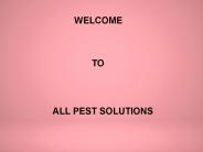 Choosing An Eco Friendly Pest Control Solutions