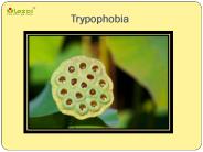 Trypophobia: Symptoms, causes, diagnosis and treatment