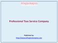 Tree Service Company PowerPoint PPT Presentation
