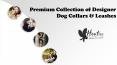 Premium Collection of Designer Dog Collars & Leashes PowerPoint PPT Presentation