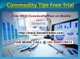 Get Online Commodity Trading Tips Daily with Kanak Trades PowerPoint PPT Presentation