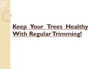 Keep Your Trees Healthy With Regular Trimming!