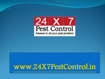 Excellent pest controlservice In Delhi and Gurgaon