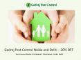 Godrej Pest Control Noida and Delhi – 20% OFF