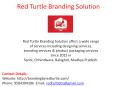 Brochure Design Company In Seoni, Madhya Pradesh- Red Turtle Branding Solution PowerPoint PPT Presentation