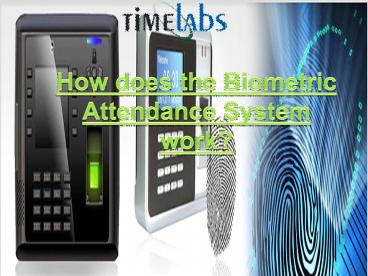How does the Biometric Attendance System work?