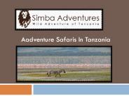 Aadventure Safaris In Tanzania