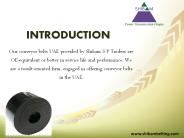 Conveyor Belts by shibambelting.com