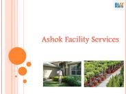 Pest Control Service Provider in Kharadi-Ashok Facility Services