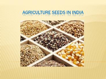Agriculture Seeds in India 16 sep 17