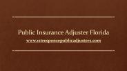 Florida Insurance Adjuster