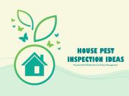House Pest Inspection Ideas