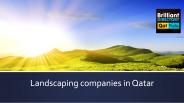 Landscaping companies in Qatar