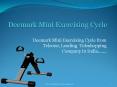 Deemark Mini Exercising Cycle Online from Teleone PowerPoint PPT Presentation