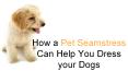 Pet Seamstress For Custom Pet Clothes PowerPoint PPT Presentation