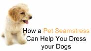 Pet Seamstress For Custom Pet Clothes