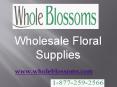 Wholesale Floral Supplies - www.wholeblossoms.com