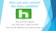 How can you convert the Hulu subtitles? PowerPoint PPT Presentation