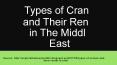 Types of Cranes and Their Rental in the Middle East PowerPoint PPT Presentation