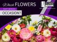 Florist in Charlottesville VA - The Flower Shop PowerPoint PPT Presentation