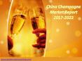 China Champagne Market Report 2017-2022 PowerPoint PPT Presentation