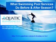 What Swimming Pool Services Do Before & After Season?