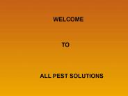 Pest Control Techniques for Dealing With Bed Bugs