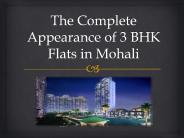 The Complete Appearance of 3 BHK Flats in Mohali