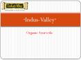 Indus Valley Presentation PowerPoint PPT Presentation