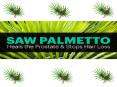 Saw Palmetto Extract for Treating hairloss PowerPoint PPT Presentation