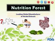 Pure Garcinia Cambogia Extracts