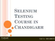 Selenium Testing Training in Chandigarh