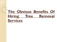 The Obvious Benefits Of Hiring Tree Removal Services PowerPoint PPT Presentation
