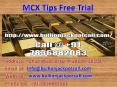 Daily Maximum Profitable Gold Silver Trading Calls on Bullion Jackpot Call PowerPoint PPT Presentation