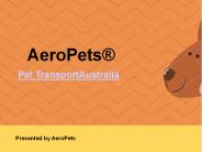 AeroPets® Animal Transport