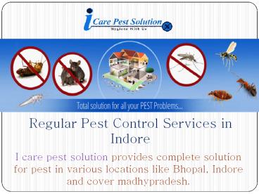 Pest Control Services in Indore