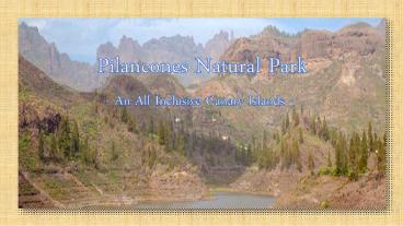 Pilancones Natural Park - An All Inclusive Canary Islands