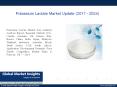 PPT for Potassium Lactate Market Research, 2017 - 2024 PowerPoint PPT Presentation