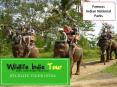 Wildlife tour India PowerPoint PPT Presentation